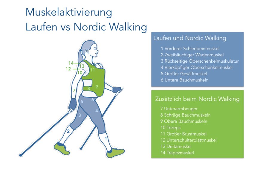 Infografik Nordic Walking