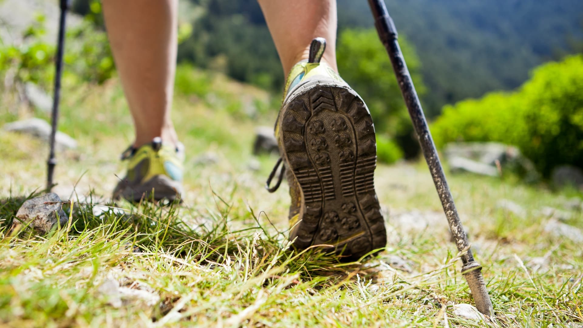 Anleitung Nordic Walking Anleitung Nordic Walking